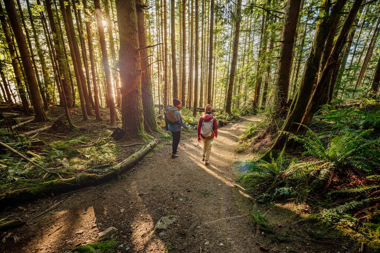 Hiking Boots vs. Hiking Shoes: How to Choose the Right Trail Footwear