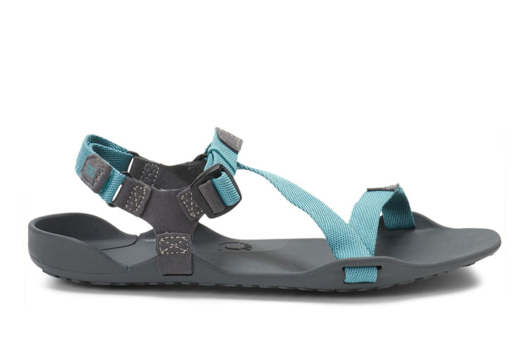 6c523717-3b9a-4d77-9ccb-5f7084e76faa_66f49580-ae01-46f2-b4cb-ef238ac680ce