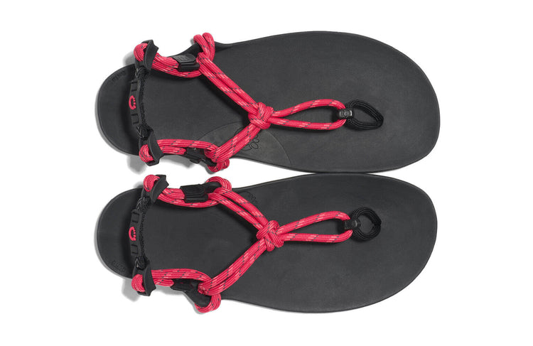 GEN-RASP-W_Genesis_Raspberry_Top-Pair_0003_WEB