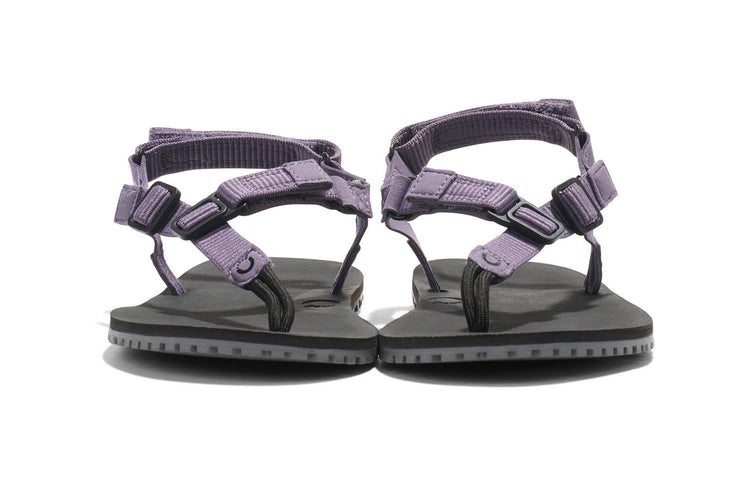 HTW-SGPU_H-Trail_Sage-Purple_Front-Pair_2058_WEB