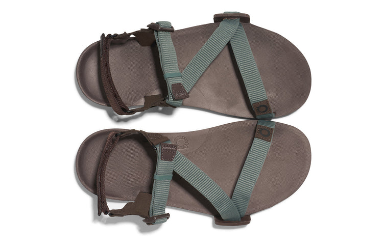 TTM-DFJN_Z-Trail-EV_Dark-Forest-Java-Brown_Top-Pair_0018_WEB