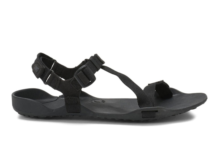 d57f7677-3af6-419d-8089-4451bd4d6c4c