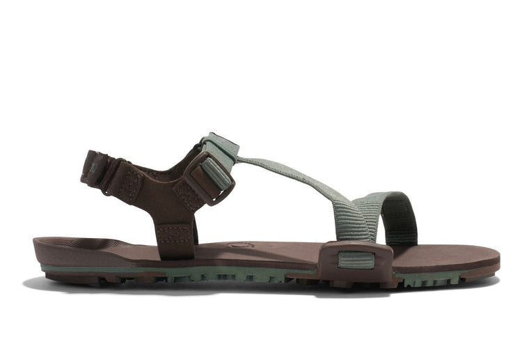 e3e903c3-1de5-419f-bdef-207dd5965201