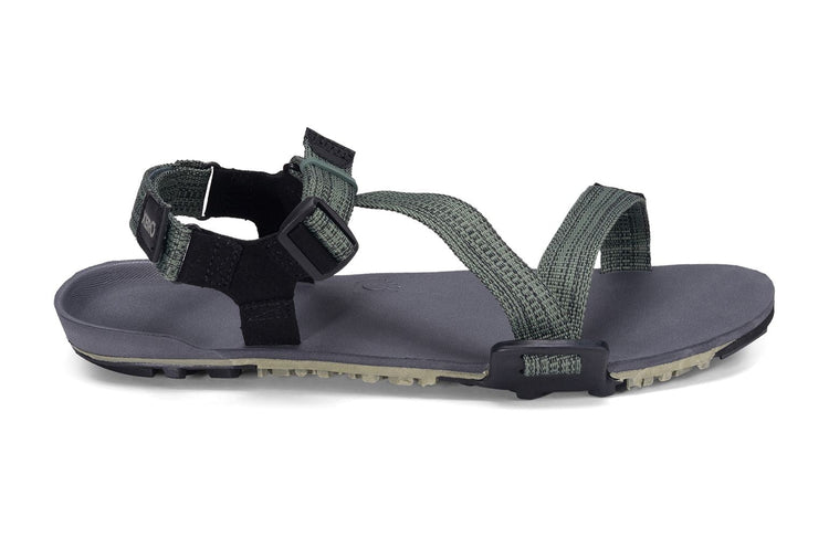 0079c981-a470-491f-abd1-9c1727236352