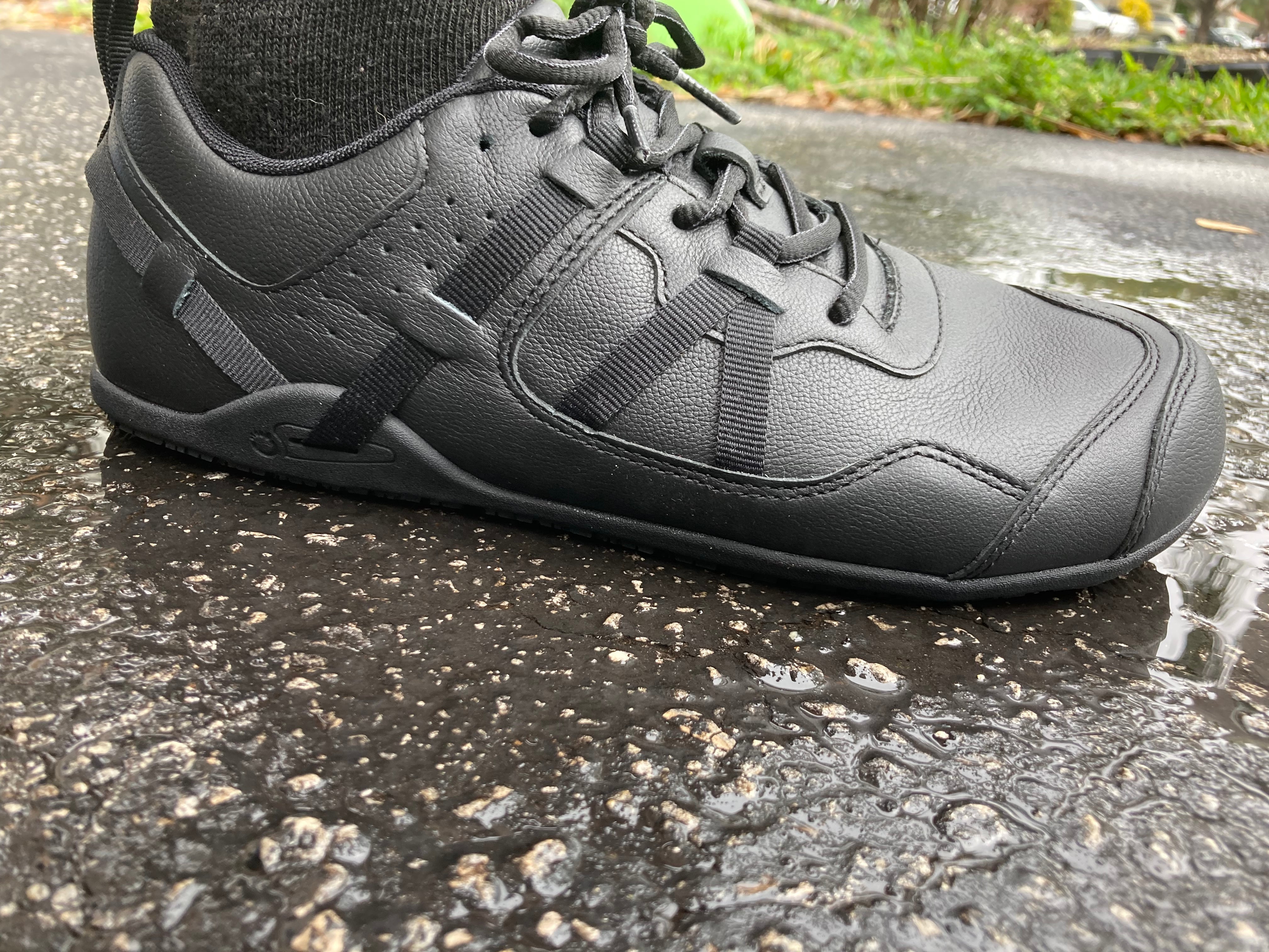 365A28DA-D2E6-4E66-87C2-AFE7AF4A2327