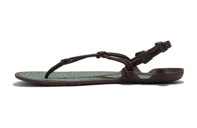 ACM-DFJN_Aqua-Cloud_Dark-Forest-Java-Brown_Left-Side_0004_WEB