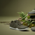 Xero Shoes EU