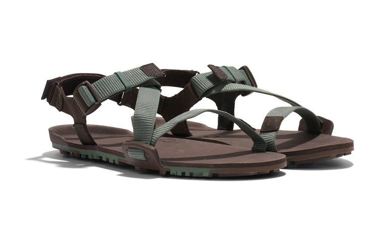 TTM-DFJN_Z-Trail-EV_Dark-Forest-Java-Brown_Angle-Pair_7484_WEB