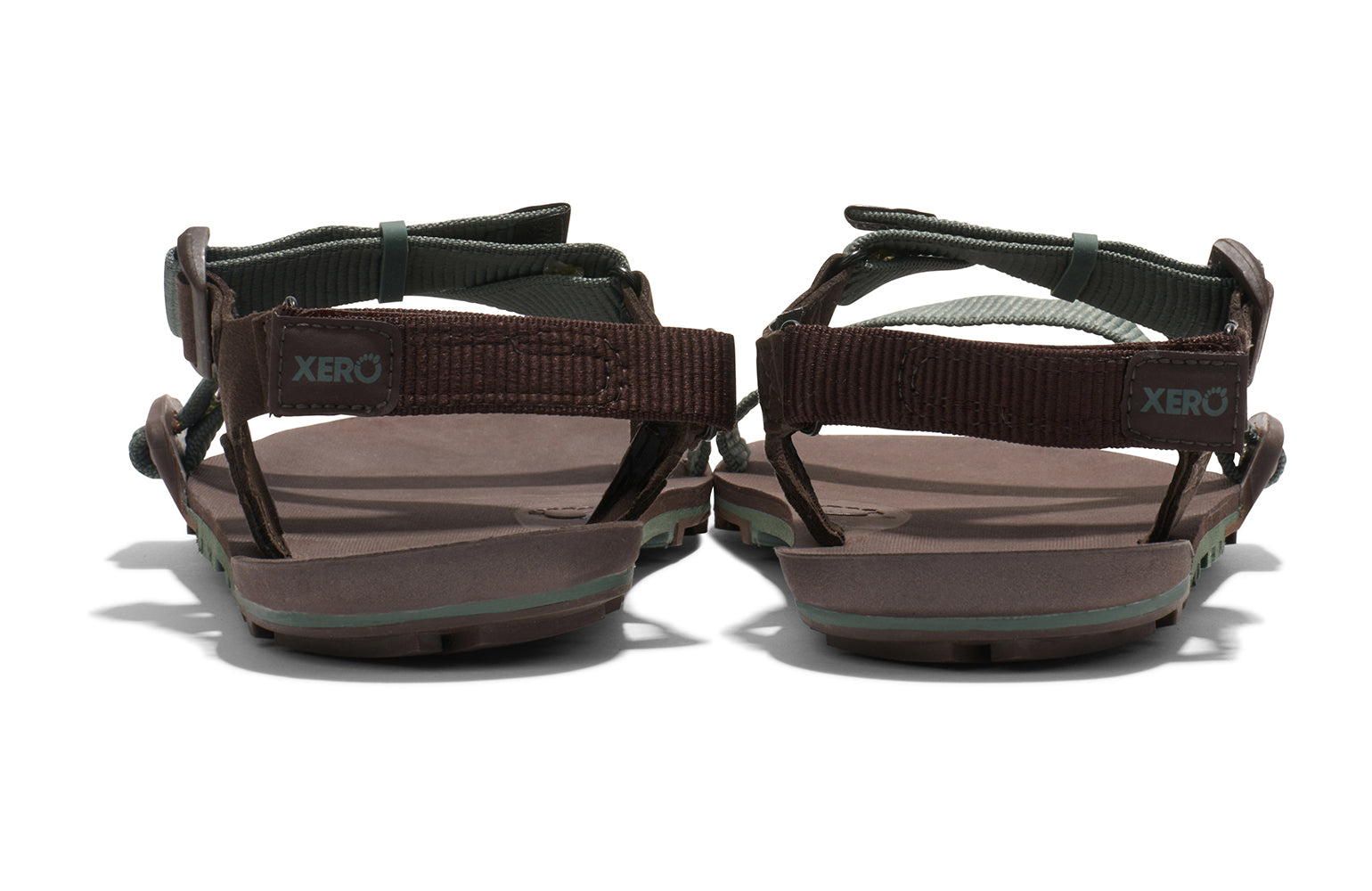 TTM-DFJN_Z-Trail-EV_Dark-Forest-Java-Brown_Back-Pair_7487_WEB