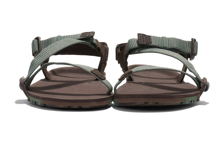 TTM-DFJN_Z-Trail-EV_Dark-Forest-Java-Brown_Front-Pair_7485_WEB