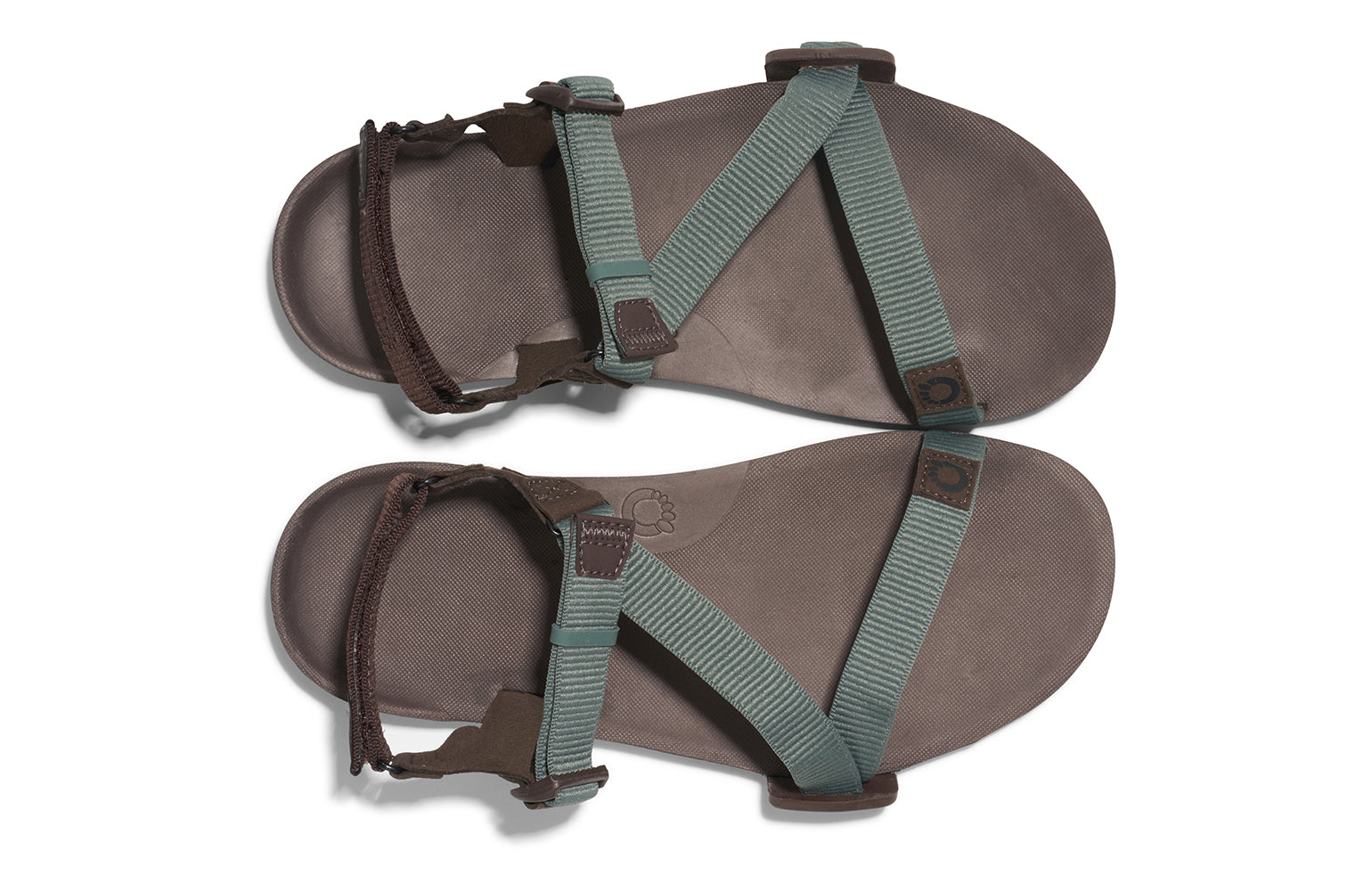 TTM-DFJN_Z-Trail-EV_Dark-Forest-Java-Brown_Top-Pair_0018_WEB