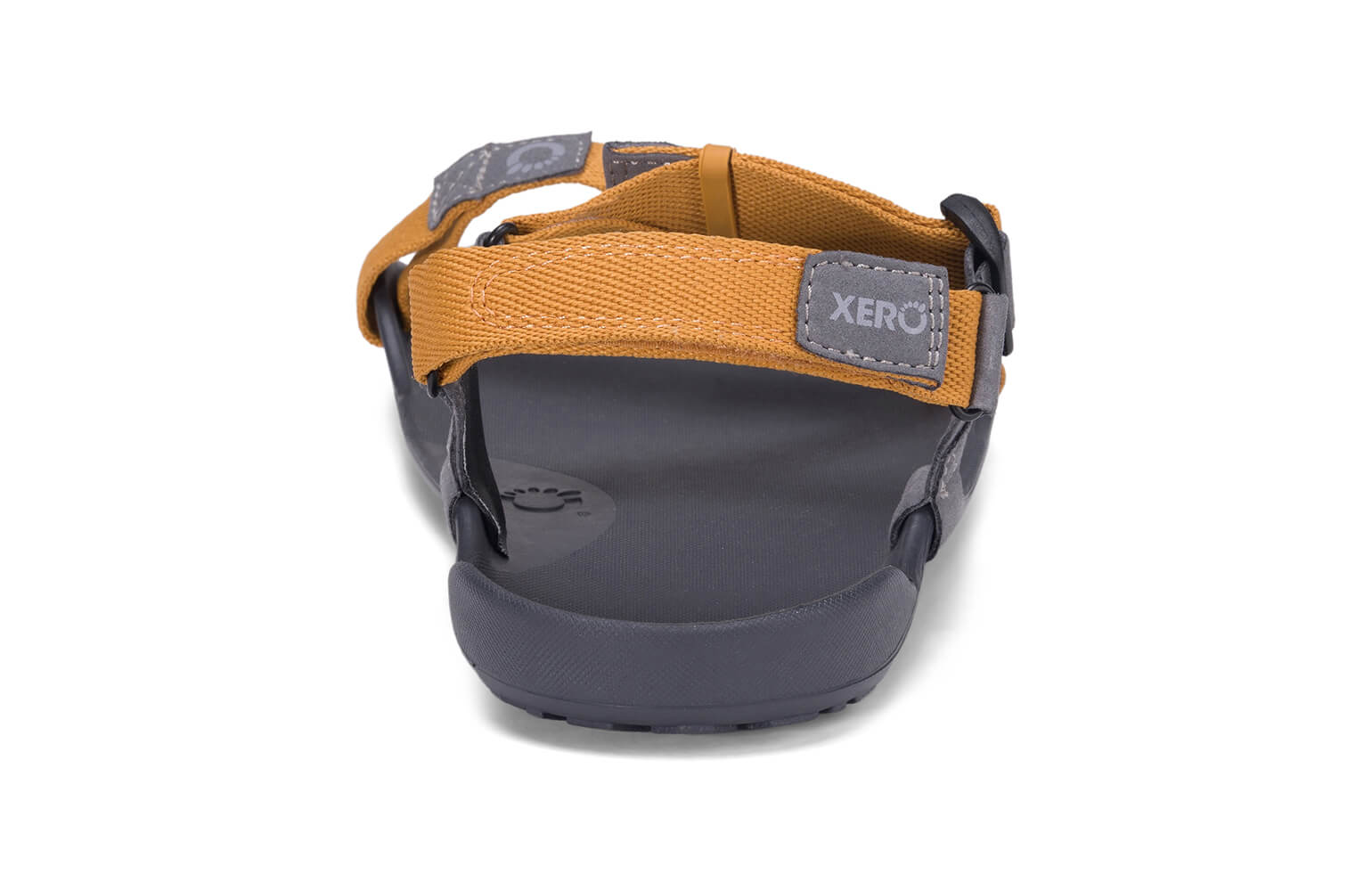 ZKM-NGT_Z-Trek_Nugget_Back_00057_WEB