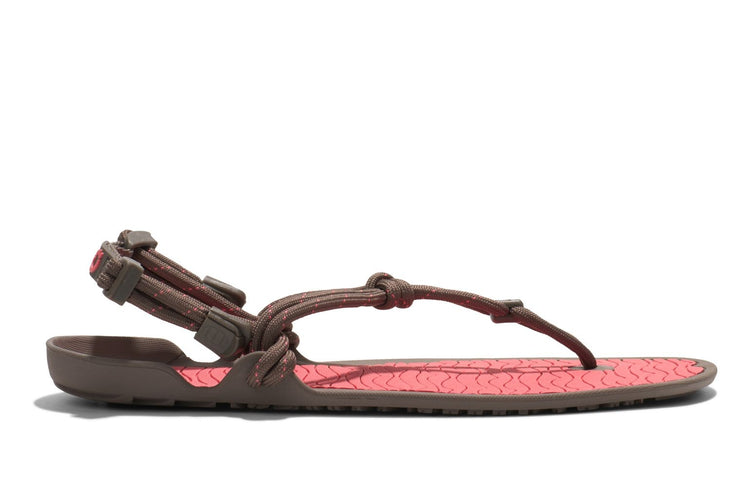 a5733100-88f8-4541-83ff-a29cf2739932