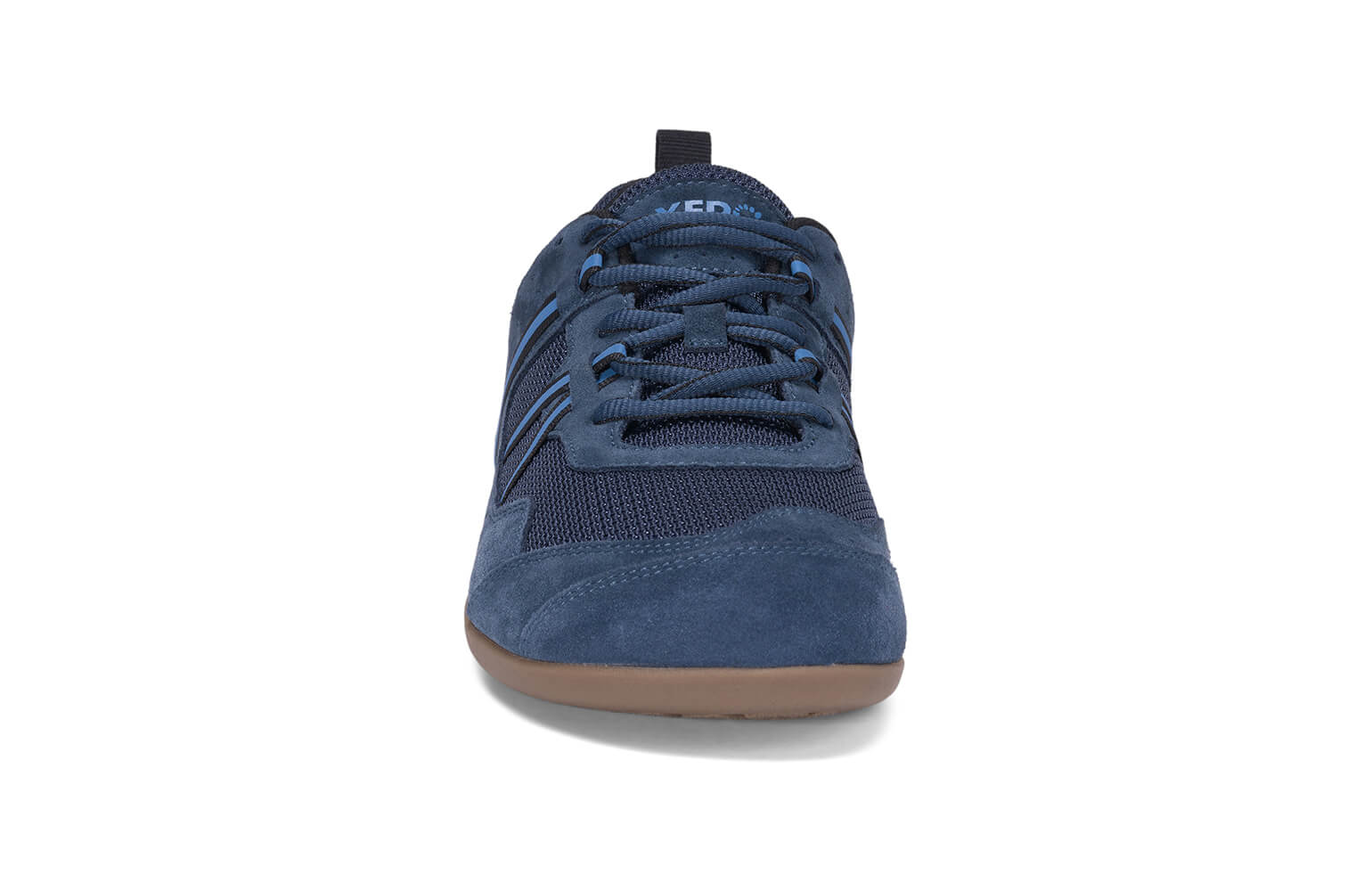 Prio Suede Men Xero Shoes EU